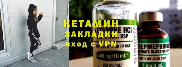 твердый Гатчина