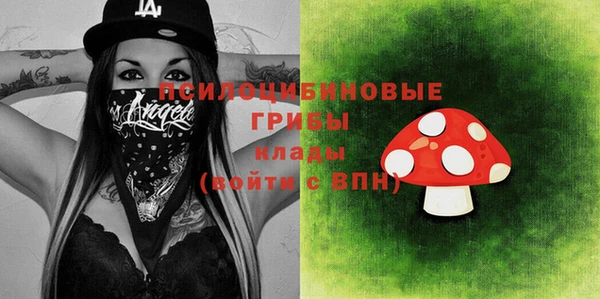 дживик Аркадак