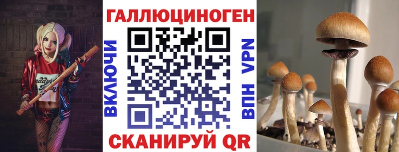 Псилоцибиновые грибы Cubensis  hydra ССЫЛКА  Каргат 